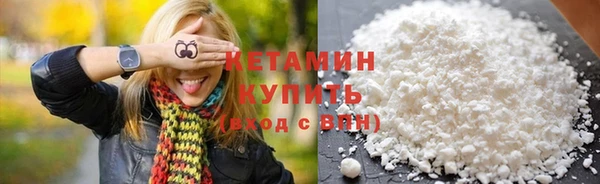 шишки Верея