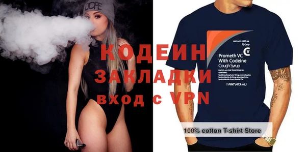 шишки Верея