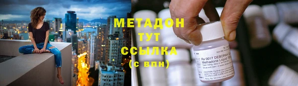 шишки Верея