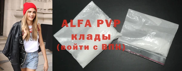 шишки Верея