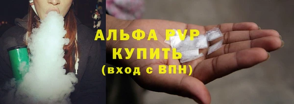 шишки Верея